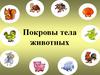 Покровы тела животных. § 10