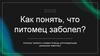 Как понять, что питомец заболел? Сигналы тревоги и первая помощь для владельцев домашних животных