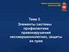 Элементы системы профилактики правонарушений несовершеннолетних, защиты их прав