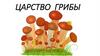 Царство грибы