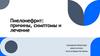 Пиелонефрит: причины, симптомы и лечение