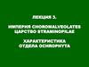 Империя choromalveolates царство straminopilae. Характеристика отдела ochrophyta