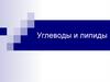 Углеводы и липиды