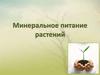 Минеральное питание растений