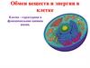 Обмен веществ и энергии в клетке