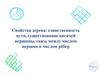 Свойства дерева: единственность пути, существование висячей вершины, связь между числом вершин и числом рёбер