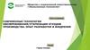 Современные технологии обезвреживания/утилизации отходов производства. Опыт разработки и внедрения