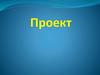 Проект