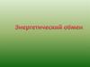 Энергетический обмен
