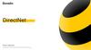 DirectNet Билайн