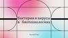 Бактерии и вирусы в биотехнологиях
