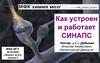 Как устроен и работает СИНАПС