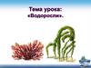 Водоросли. Наука о водорослях - альгология