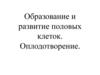 Образование и развитие половых клеток. Оплодотворение