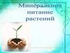 Минеральное питание растений
