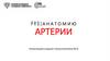 Артерии