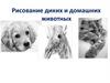 Рисование диких и домашних животных