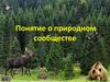 Понятие о природном сообществе