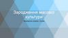 Зародження масової культури (Всесвітня історія. 9 клас)