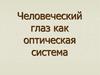 Человеческий глаз как оптическая система