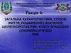 Загальна характеристика, спосіб життя, поширення і значення щелепноротих риб, класу Хрящових (Chondrichthyes). Лекція 4