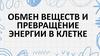 Обмен веществ и превращение энергии в клетке