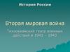 Вторая мировая война. Тихоокеанский театр военных действий в 1941 - 1943 год