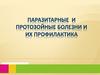 Паразитарные и протозойные болезни и их профилактика