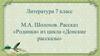 М.А. Шолохов. Рассказ «Родинка» из цикла «Донские рассказы»