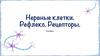 Нервные клетки. Рефлек. Рецептор