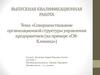 Совершенствование организационной структуры управления предприятием (на примере «СМКлиника»)