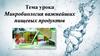 Микробиология важнейших пищевых продуктов. Значение микробиологии пищевых продуктов
