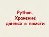 Python. Хранение данных в памяти