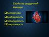 Свойства сердечной мышцы