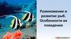 Размножение и развитие рыб. Особенности их поведения