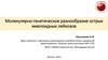 Молекулярно-генетическое разнообразие острых миелоидных лейкозов