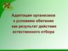 Адаптация организмов к условиям обитания как результат действия естественного отбора