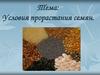 Условия прорастания семян