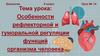 Особенности рефлекторной и гуморальной регуляции функций организма человека. Урок № 14