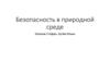 Безопасность в природной среде