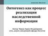 Онтогенез как процесс реализации наследственной информации