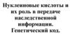 Нуклеиновые кислоты и их роль в передаче наследственной информации. Генетический код