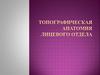 Топографическая анатомия лицевого отдела