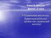 Социальные институты. Правоохранительные органы как социальный институт (Тема 3)