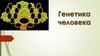 Генетика человека. Аутосомы