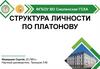 Структура личности по Платонову