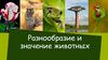16. Многообразие и значение животных