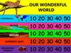Our wonderful world