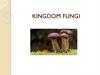 Kingdom fungi