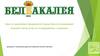 БелБакалея